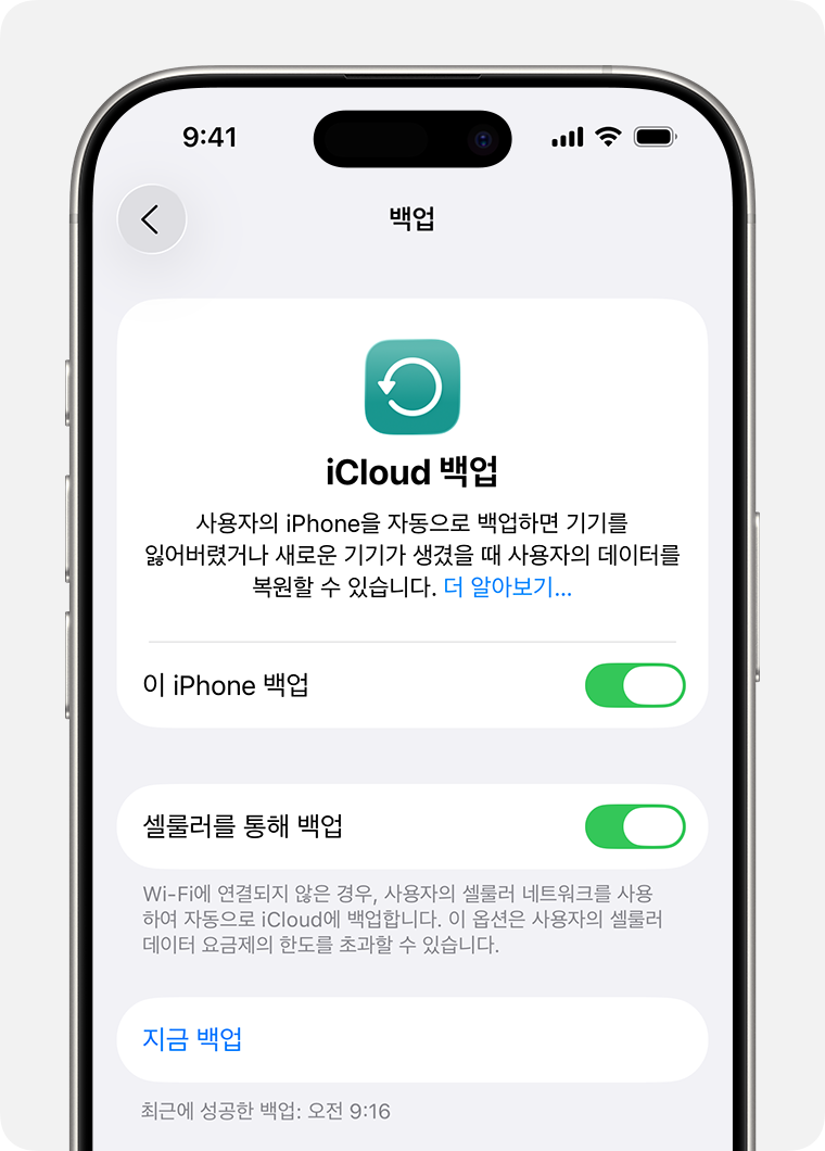 iCloud 백업 화면 아래의 지금 백업 버튼과 최근에 성공한 백업 시각
