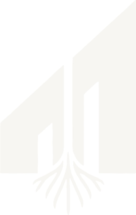 대치루트